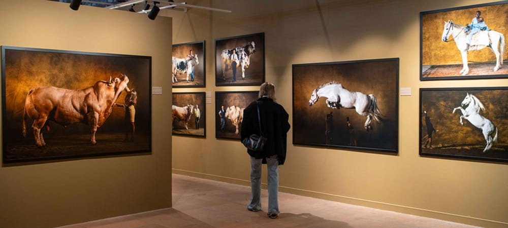 212 PHOTOGRAPHY ISTANBUL’UN DOKUZUNCU EDİSYONU SANATSEVERLERİN YOĞUN İLGİSİ VE KATILIMIYLA SONA ERDİ!